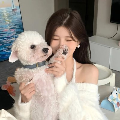 最后的科曼奇人 封面