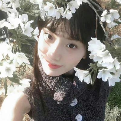 阿凡隆高中 封面