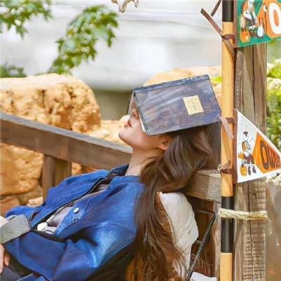 疤面煞星 封面