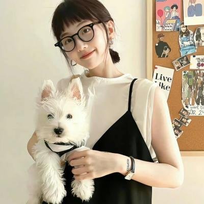 冬天的小苍蝇 封面
